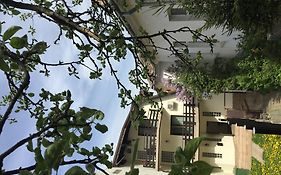 Casa Transilvania
